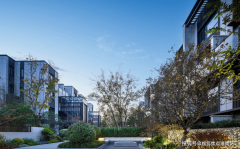 <b>一旦后明显价值将会间接迸发</b>