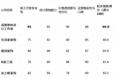 <b>设想专业性取落地能力（权沉：25%）：调查公司</b>